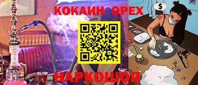 СК Кингисепп