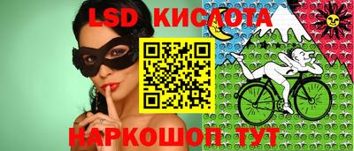 СК Кингисепп