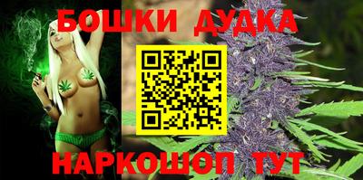 СК Кингисепп