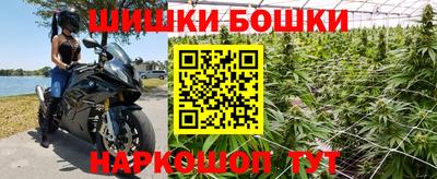 СК Кингисепп