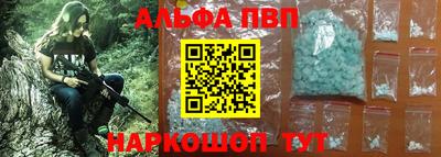 СК Кингисепп