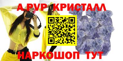 СК Кингисепп